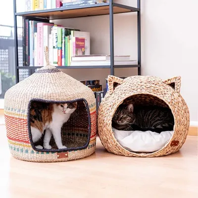 Pet and Co Chat Lit Simba