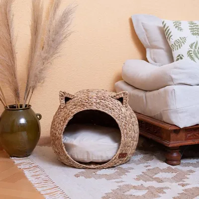 Pet and Co Chat Lit Simba