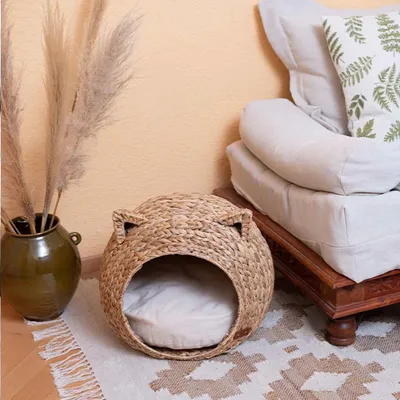 Pet and Co Chat Lit Simba