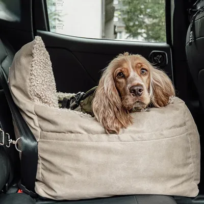 Pet and Co Chien faux cuir Siège d'auto Harry