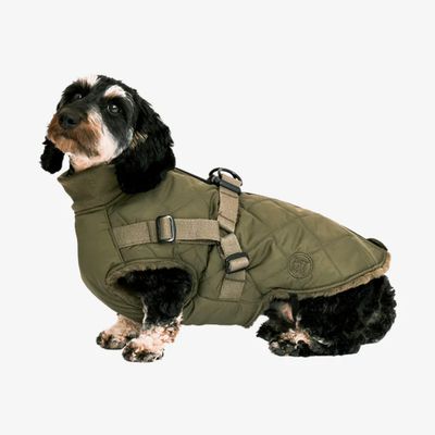Pet and Co Chien Manteau matelassé avec harnais Ruby