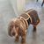 Pet and Co Chien Ensemble de spa manteau de bain et gants Wrappy
