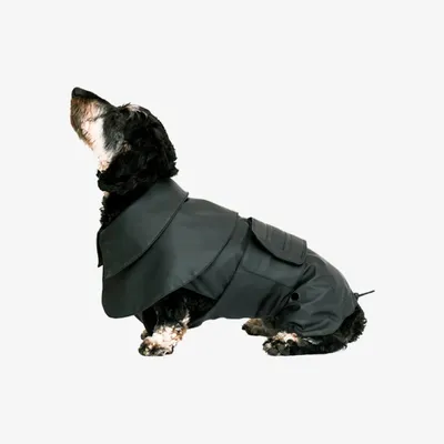 Pet and Co Chien Imperméable Milo