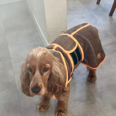 Pet and Co Chien Ensemble de spa manteau de bain et gants Wrappy