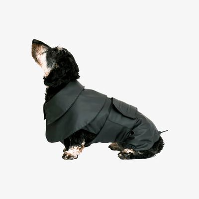 Pet and Co Chien Imperméable Milo