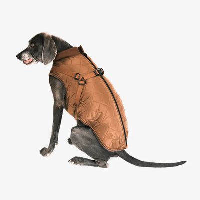 Pet and Co Chien Manteau matelassé avec harnais Ruby