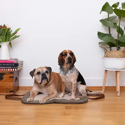 Pet and Co Chien Corde Tapis de voyage Charly