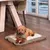 Pet and Co Chien Corde Tapis de voyage Charly