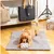 Pet and Co Chien Tapis de voyage Aventura