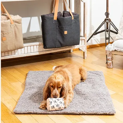 Pet and Co Chien Tapis de voyage Aventura