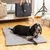 Pet and Co Chien Tapis de voyage Aventura