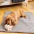 Pet and Co Chien Tapis de voyage Aventura