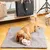 Pet and Co Chien Tapis de voyage Aventura