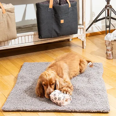 Pet and Co Chien Tapis de voyage Aventura