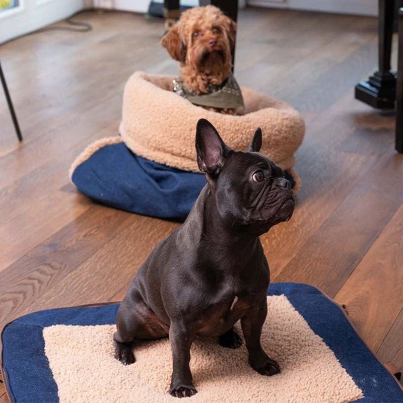 Pet and Co Chien Tapis de voyage Gino