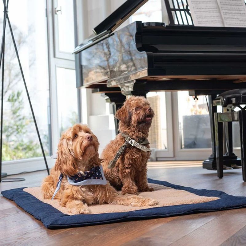 Pet and Co Chien Tapis de voyage Gino