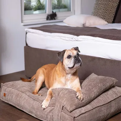 Pet and Co Chien Coussin Cordi Pet and Co Chien Coussin Cordi