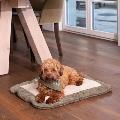 Pet and Co Chien Corde Tapis de voyage Charly Pet and Co Chien Corde Tapis de voyage Charly