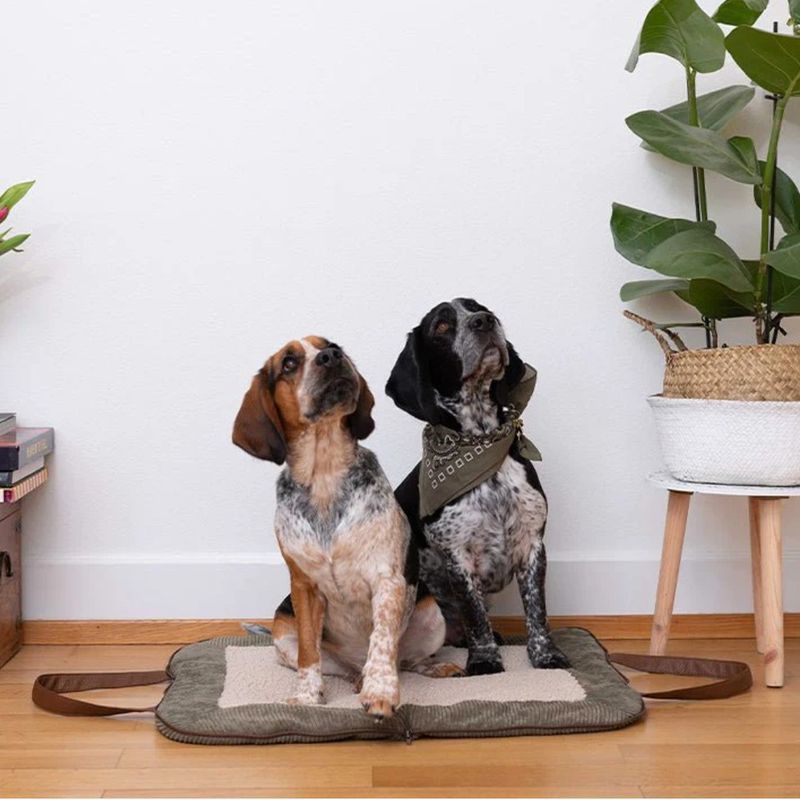 Pet and Co Chien Corde Tapis de voyage Charly
