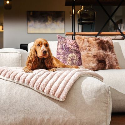 Pet and Co Chien Couverture câline Lazy