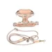 Pet and Co Chien Ensemble harnais et laisse Rex