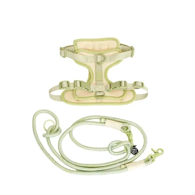 Pet and Co Chien Ensemble harnais et laisse Rex