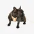 Pet and Co Chien Ensemble harnais et laisse Rex Set