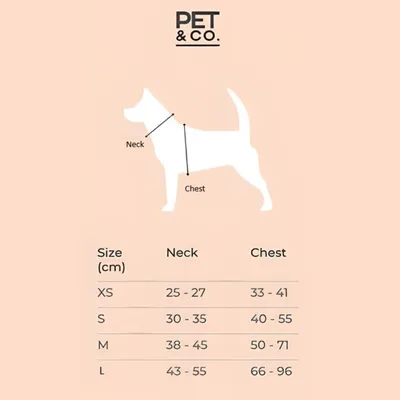 Pet and Co Chien Ensemble harnais et laisse Rex Set