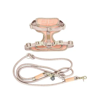 Pet and Co Chien Ensemble harnais et laisse Rex Pet and Co Chien Ensemble harnais et laisse Rex