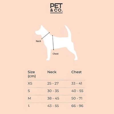 Pet and Co Chien Ensemble harnais et laisse Rex Set
