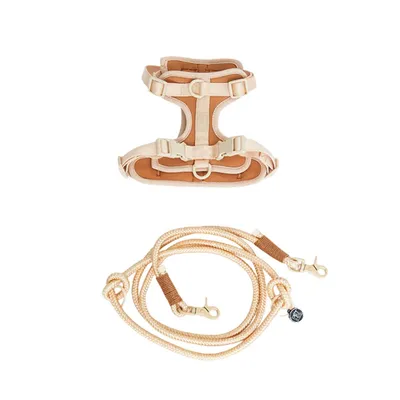 Pet and Co Chien Ensemble harnais et laisse Rex