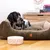 Pet and Co Chien Cordon Double Face Lit Kingston Pet and Co Chien Cordon Double Face Lit Kingston