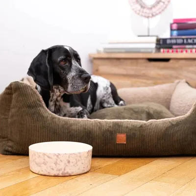 Pet and Co Chien Cordon Double Face Lit Kingston Pet and Co Chien Cordon Double Face Lit Kingston