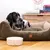 Pet and Co Chien Cordon Double Face Lit Kingston Pet and Co Chien Cordon Double Face Lit Kingston