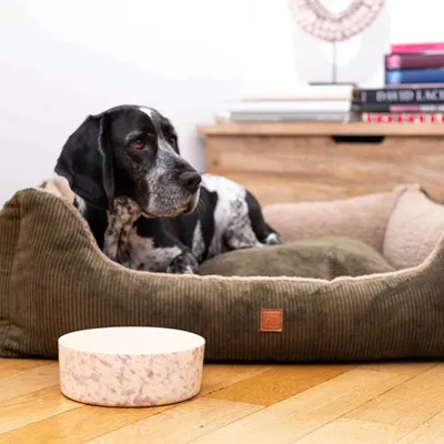 Pet and Co Chien Cordon Double Face Lit Kingston Pet and Co Chien Cordon Double Face Lit Kingston