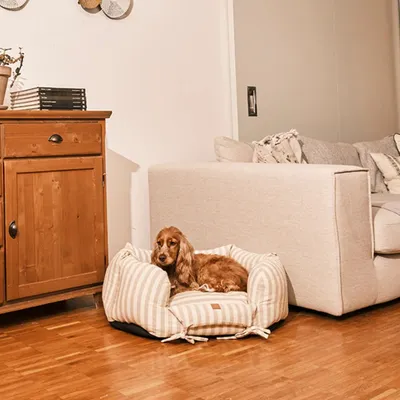 Pet and Co Chien Rayé Lit Ronny Pet and Co Chien Rayé Lit Ronny