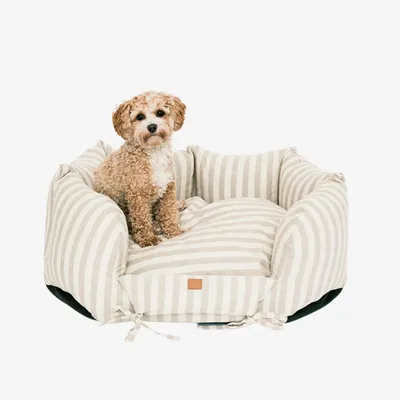 Pet and Co Chien Rayé Lit Ronny Pet and Co Chien Rayé Lit Ronny