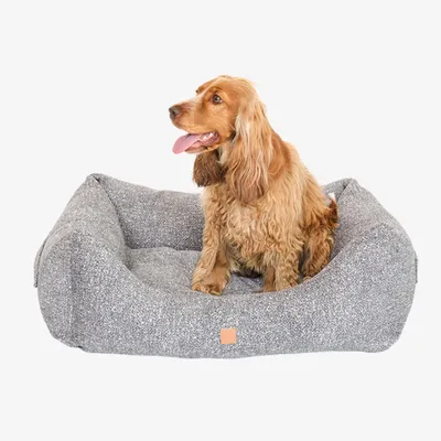 Pet and Co Chien Lit Kingston Boucle Pet and Co Chien Lit Kingston Boucle