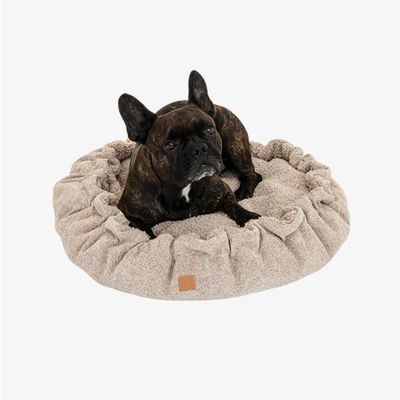 Pet and Co Chien Lit Alfi