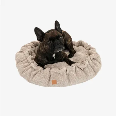 Pet and Co Chien Lit Alfi