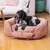 Pet and Co Chien Corde Lit Ronny Pet and Co Chien Corde Lit Ronny