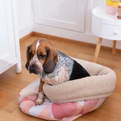 Pet and Co Chien Sac de lit Snuggle