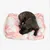 Pet and Co Chien Sac de lit Snuggle