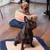 Pet and Co Chien Sac de lit Snuggle