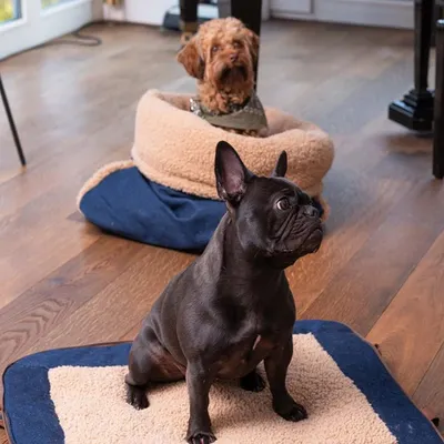 Pet and Co Chien Sac de lit Snuggle