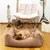 Pet and Co Chien Lit Kingston Basic Pet and Co Chien Lit Kingston Basic