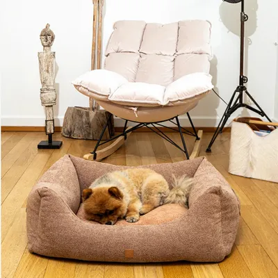 Pet and Co Chien Lit Kingston Basic Pet and Co Chien Lit Kingston Basic
