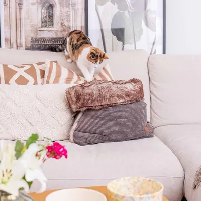 Pet and Co Chien Sac de lit Snuggle