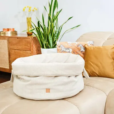 Pet and Co Chien Corde Panier féodal Louis