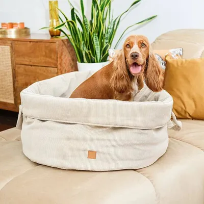 Pet and Co Chien Corde Panier féodal Louis